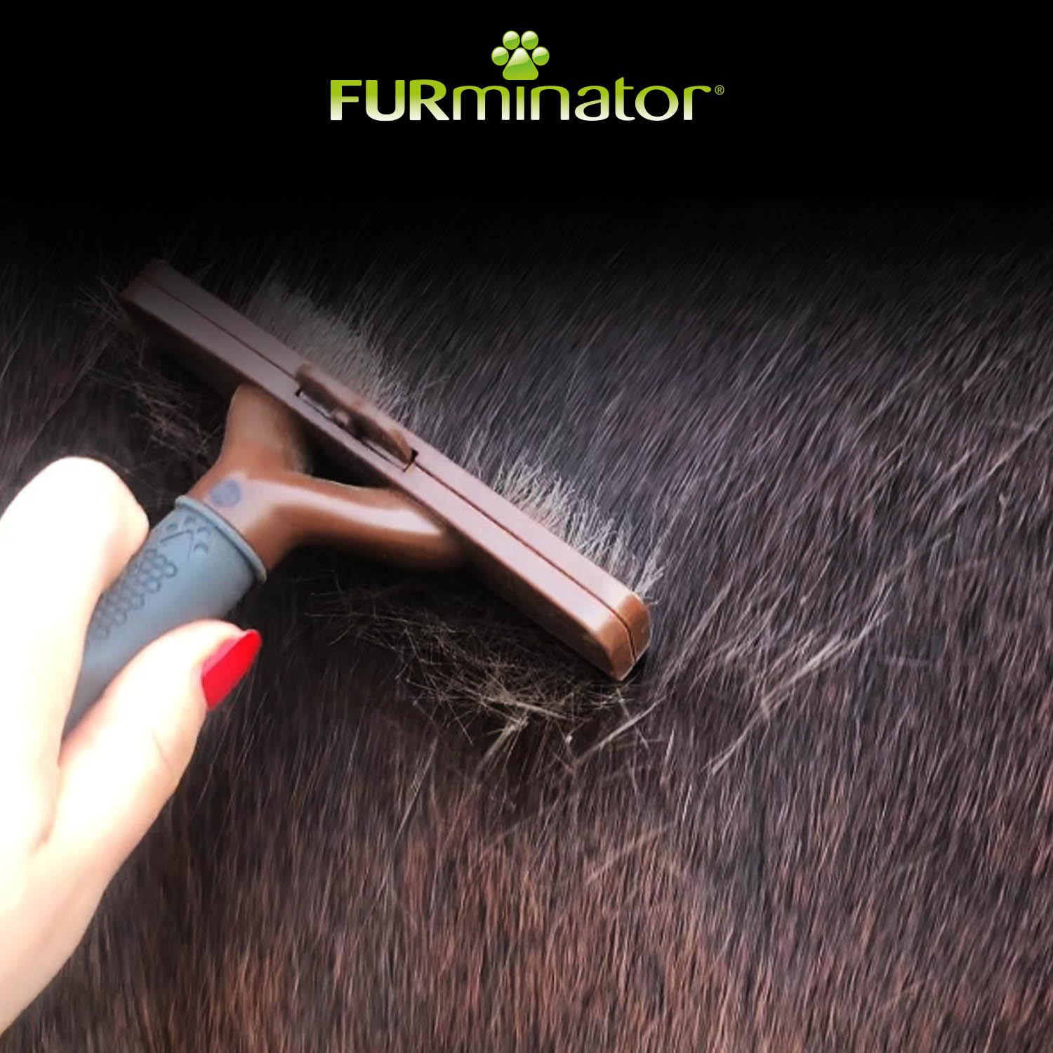FURminator deShedding-Tool Pferd - Pferdebürste / Pferdestriegel zur gründlichen Entfernung der Unterwolle - Verbessertes Design Unisex