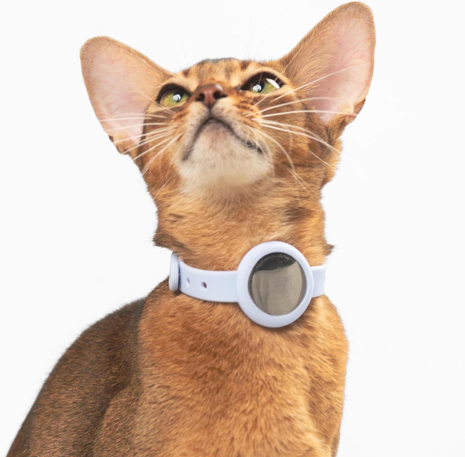 Anti-Choke Cat Collar for Airtag, Elastic Silicone QR Code Anti-Lost Lightweight Adjustable Soft Comfortable Collar Airtag Case 2-in-1 Cat Collar Airtag Holder for Cats (Sierra Blue, M)