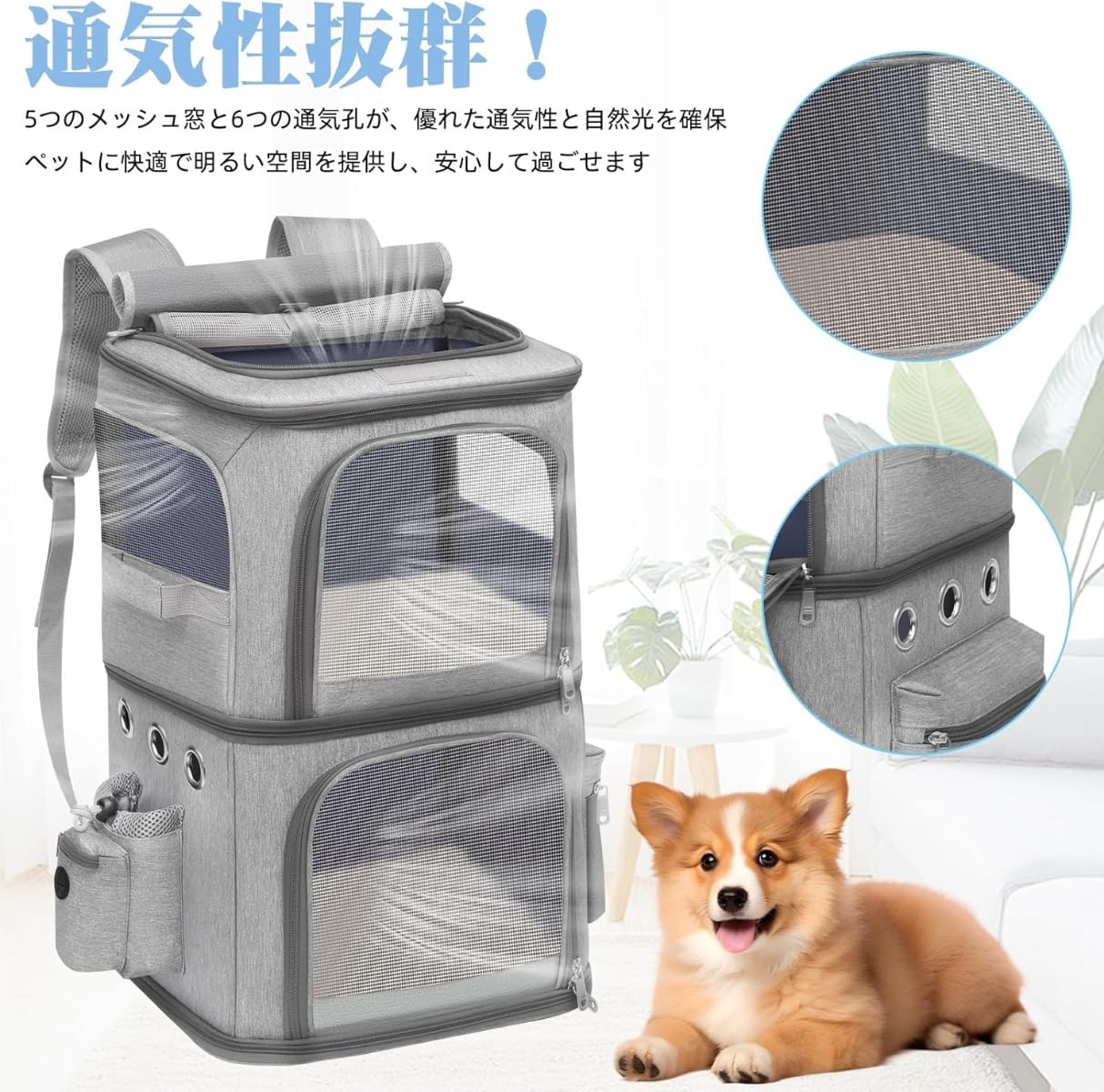 Amazon.co.jp: 猫 2 匹 キャリー リュック キャスター付き 小型 犬