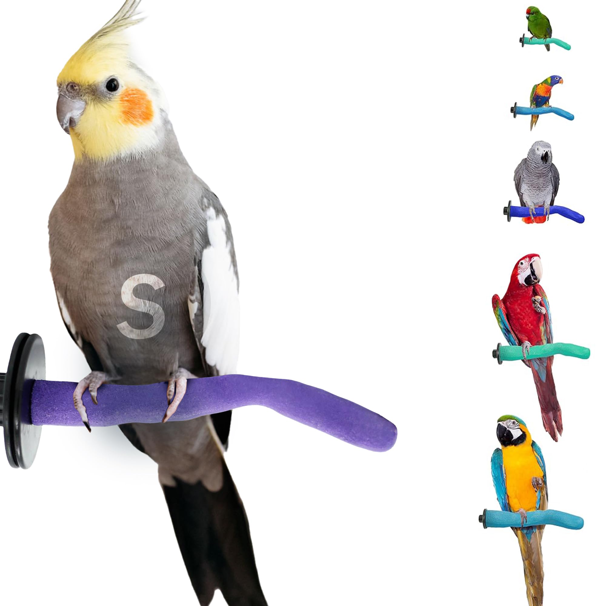 Sweet Feet and Beak Safety Pumice Bird Perch, Small Pedicure Perch, Purple