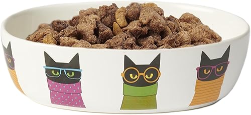 Miniatura 4 de PetRageous 18425 Smart Kitty - Cuenco ovalado de cerámica para gatos, 6.75 pulgadas de ancho y 2.13 pulgadas de alto, capacidad de 2 tazas, color