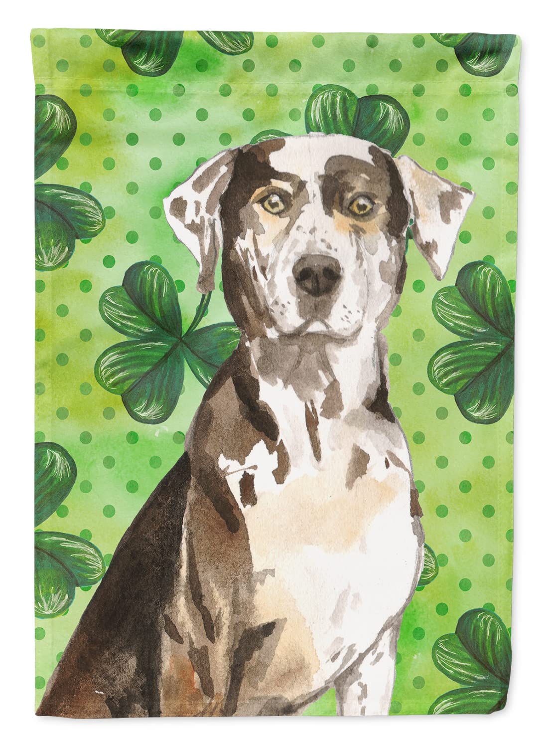 Drapeau Catahoula Caroline's Treasures en toile de qualité supérieure pour décoration