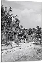 Black And White, Belize Mural, Belize Poster, Belize Photo, Belize Wall Decor, Central America Print Poster Canvas Artwork Prints Rustic Farmhouse Decorations for Living Room Bathroom Bedroom Frame-st