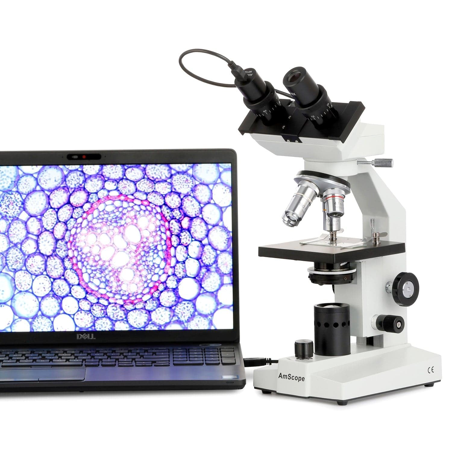 AmScope B100B-E2 40X-2000X Microscopio Biológico Compuesto Biológico Binocular y Cámara Ocular Digital 2MP USB