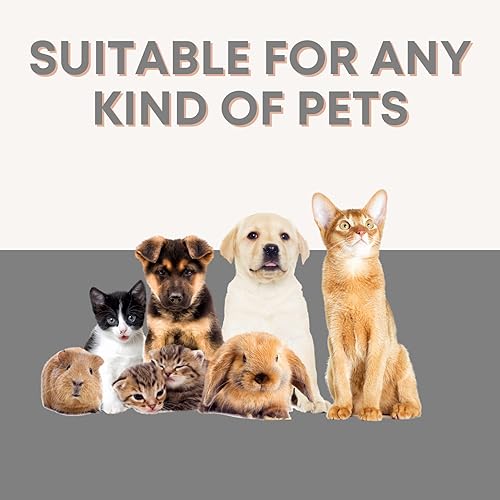 Miniatura 8 de Rampa para perros para sofá, rampas para mascotas para perros pequeños, escalones para perros pequeños, rampa para perros, rampa de espuma para