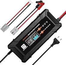 ECO-WORTHY 12V/24V 20A LiFePO4 Battery Charger with Multi-Current Options 5A/10A/15A/20A, Automatic LiFePO4 Lead-Acid Battery Voltage Detection for Car Truck Motorcycle Lawn Mower