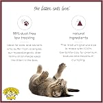 Precious Cat Classic Premium Clumping Cat Litter, 40 Sac en livre