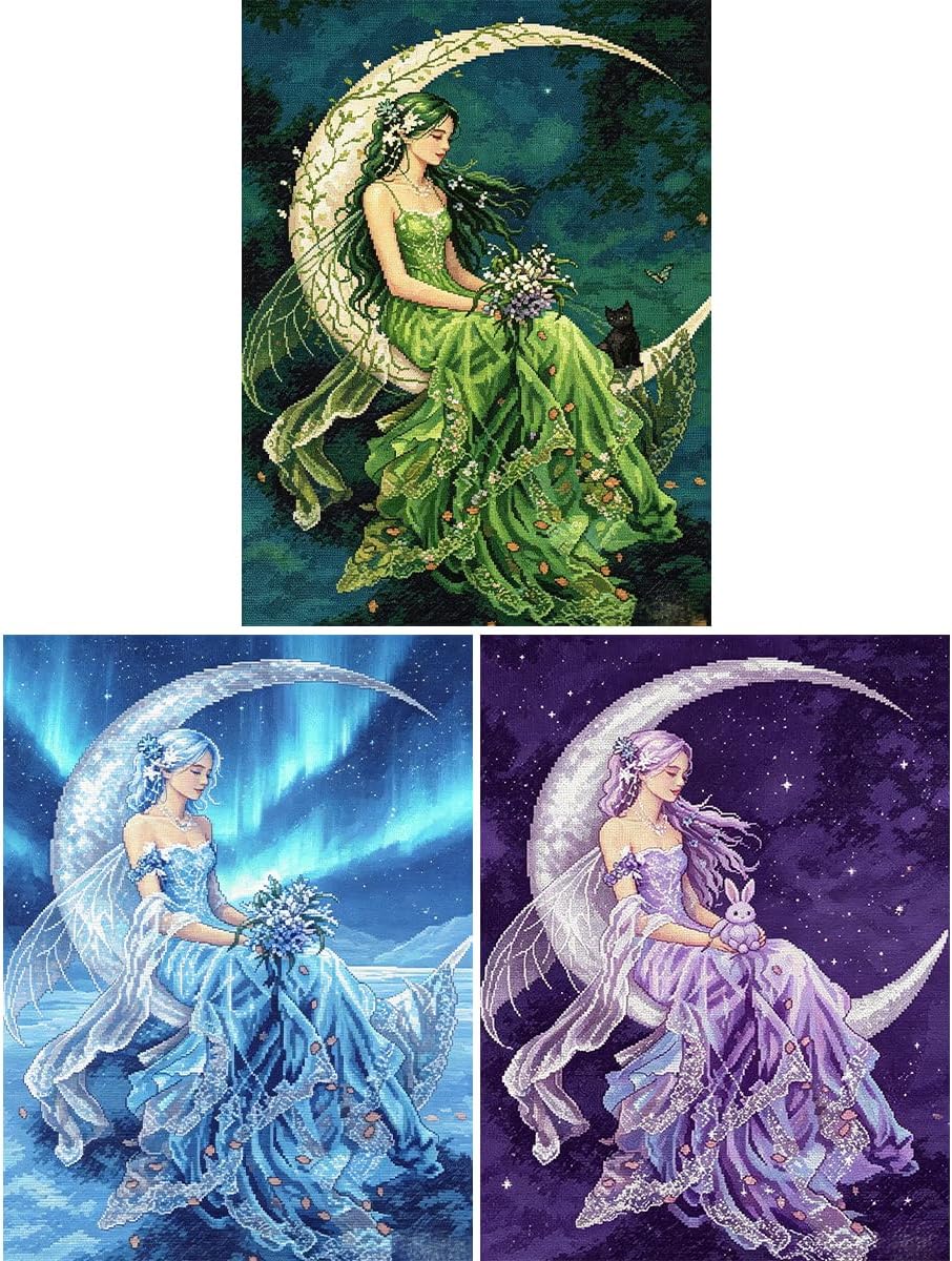 3 Pack Beautiful Woman Female Fairy Stamped Cross Stitch Kits for Adults - Embroidery Kits for Beginners Adults,14CT Patterns Dimensions Counted Cross Stitch Arts Craft Kits (Transparent Elves)