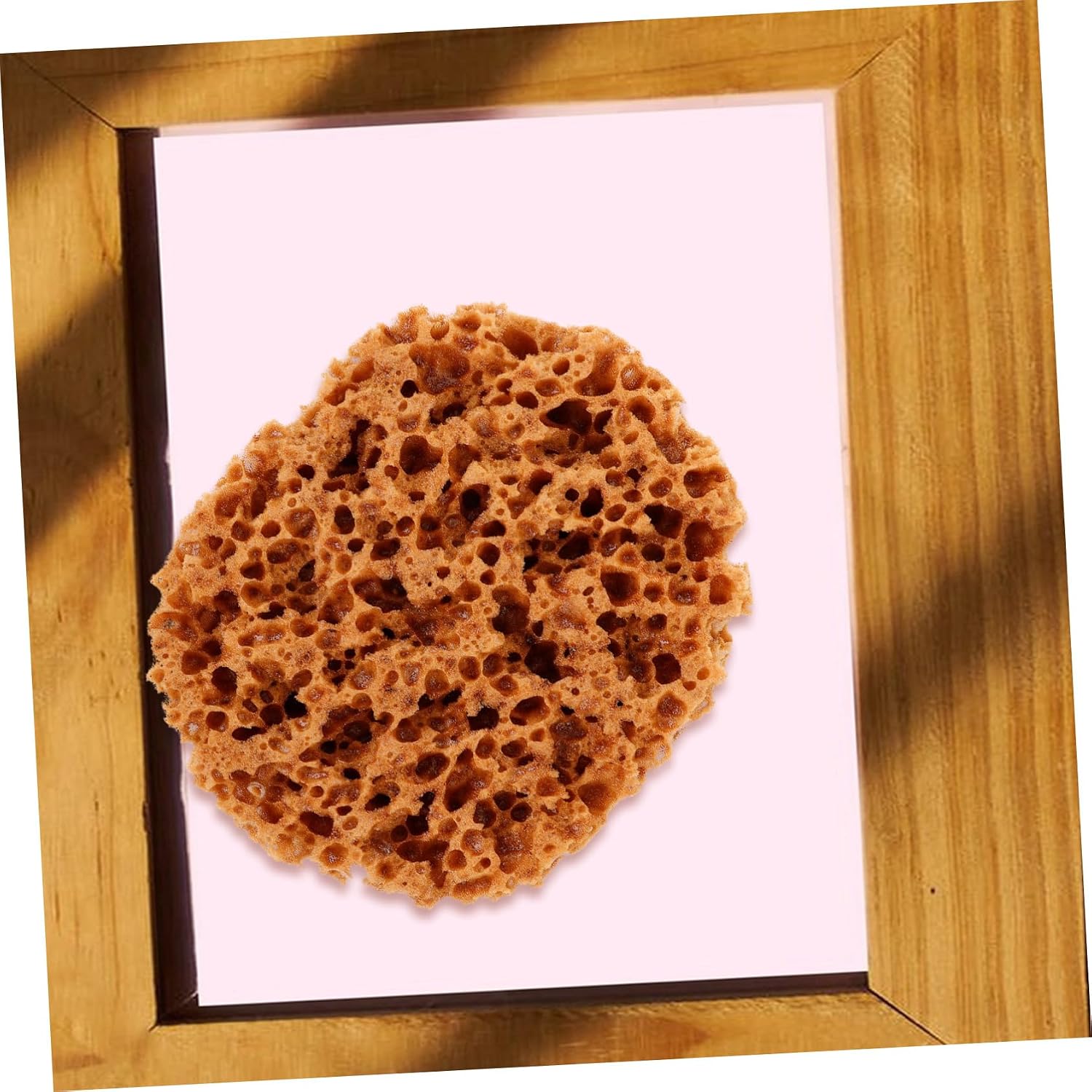 SEWACC Versatile Sea Sponge Painting Tool Ergonomic Reusable Natural Sponge for Decorative Textured Art and DIY Wall Furniture Painting