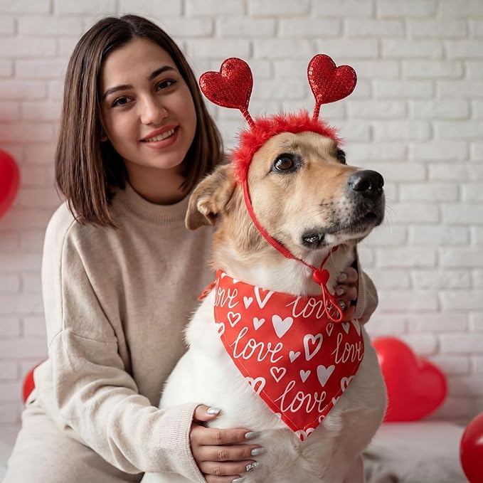 Conjunto de Ropa para Perro de San Valentín 9 Piezas miniatura 4