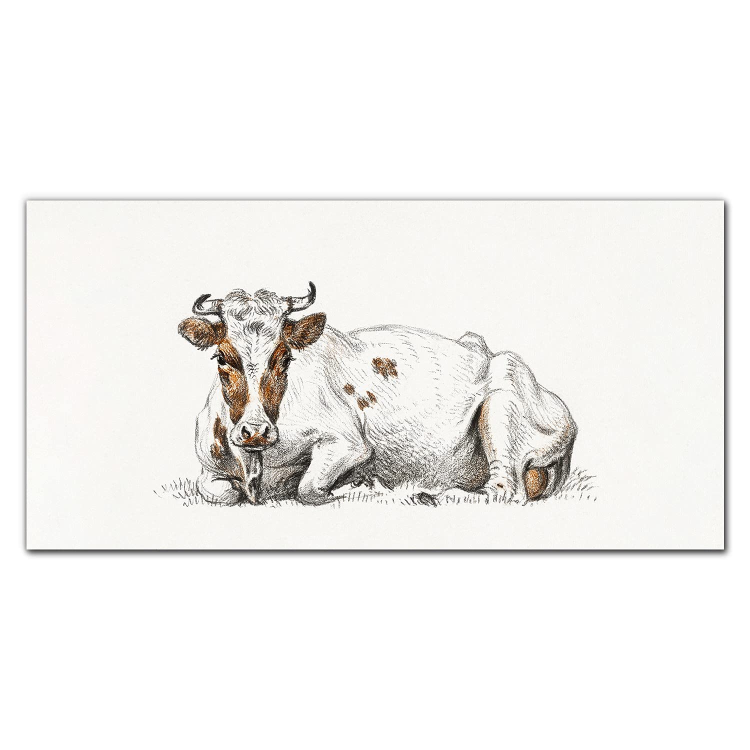 Protection dosseret en verre trempé 120x60cm autocollante