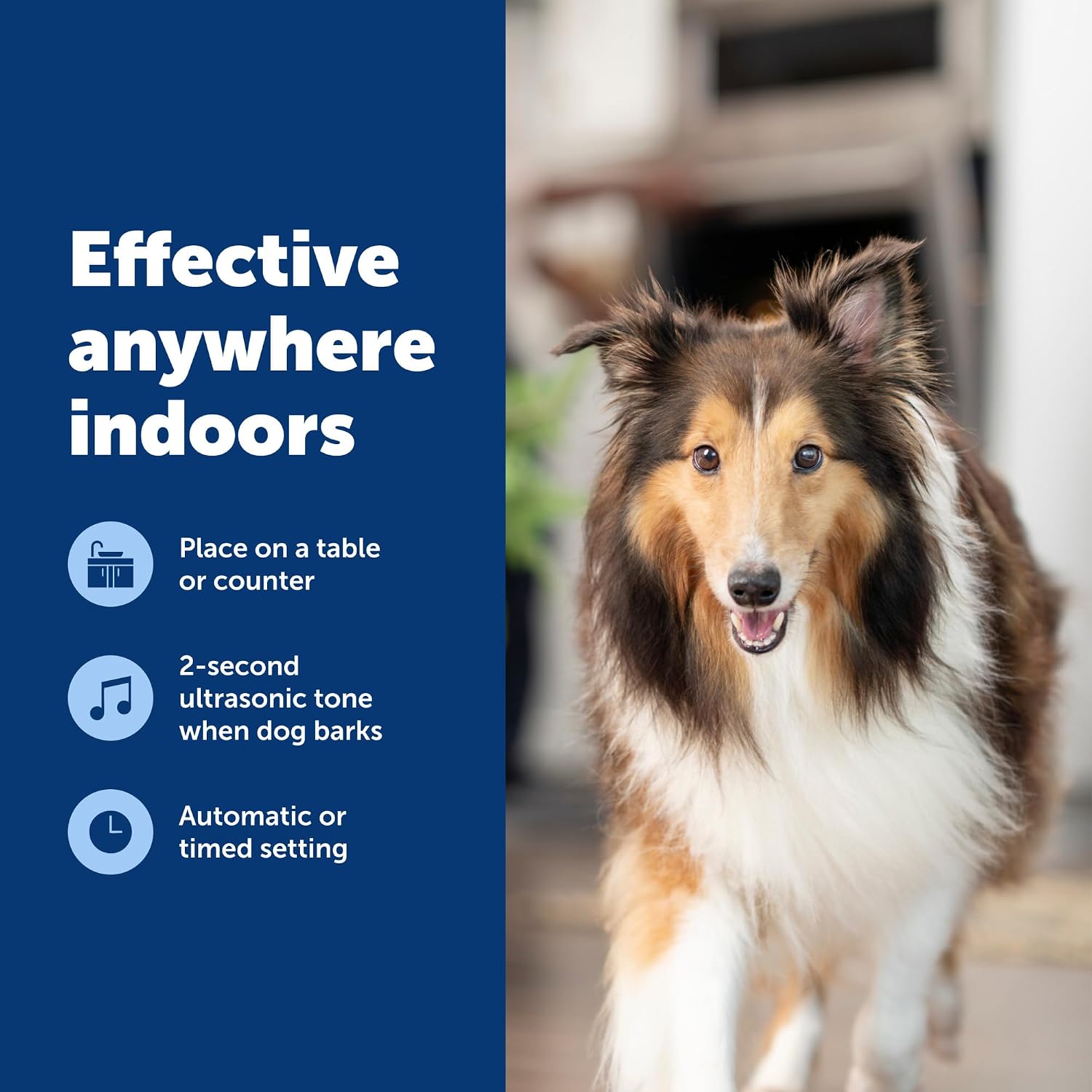 PetSafe Indoor Ultrasonic Dog Bark Control, Up to 25 ft image 5