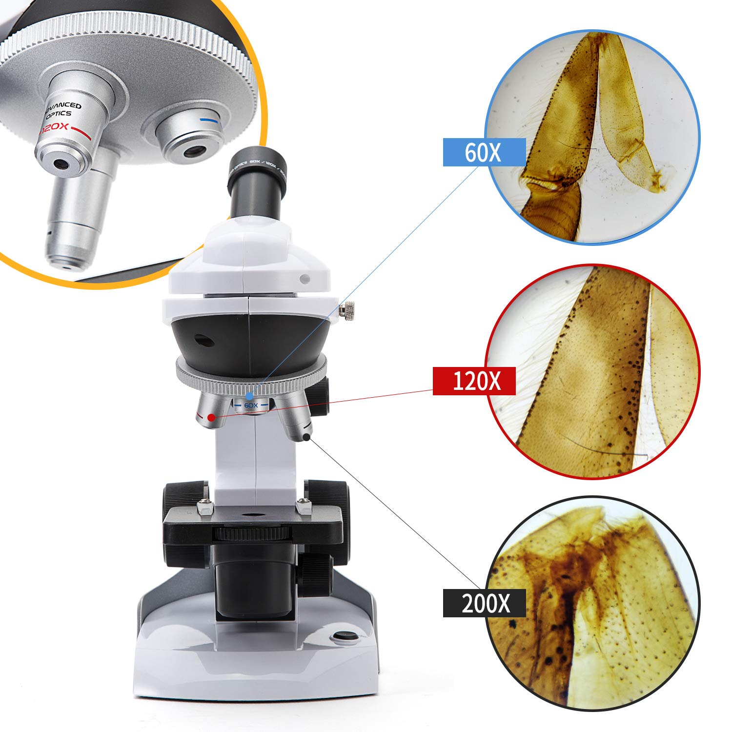 SWIFT Microscopio para niños SS30-8001, Kit de microscopio Principiantes con Adaptador Universal para Smartphone para capturar imágenes, 3 aumentos 60x, 120x, 200x, Incluye 42 Piezas de Accesorios