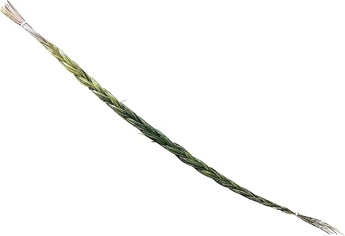 Miniatura 7 de Alternative Imagination Trenza de incienso Sweetgrass, extra grande (24 pulgadas +)