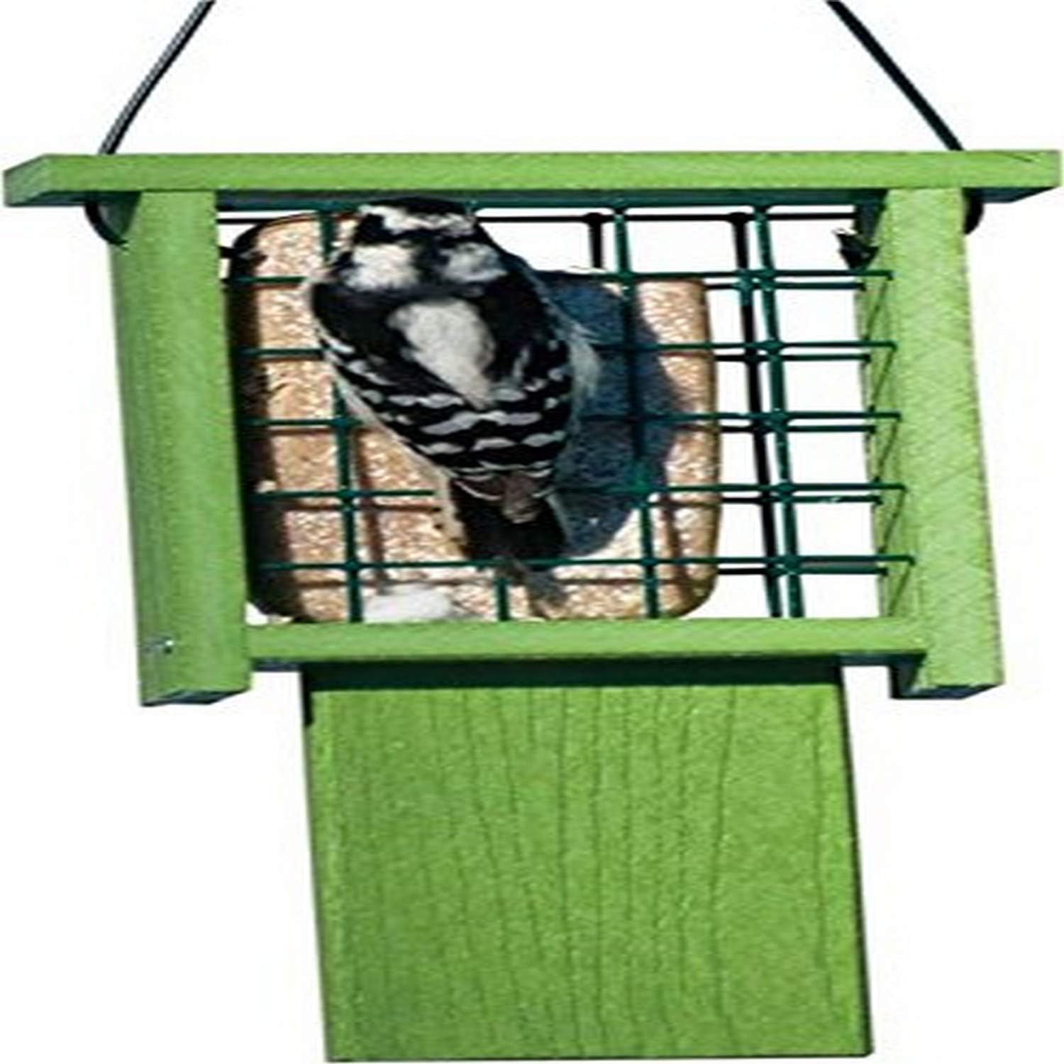 AKERUE INDUSTRIES DBA KAY HOME NAGGPROPSUET Bird Feeder, Green