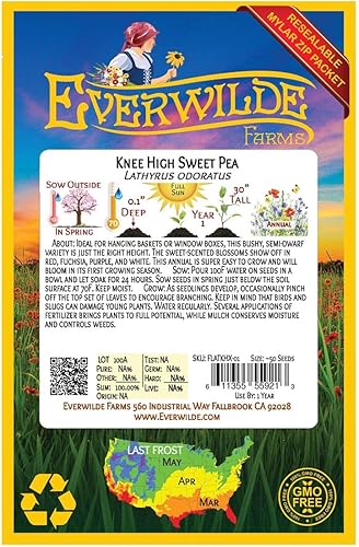 Miniatura 2 de Everwilde Farms - 50 semillas de flores silvestres de guisantes dulces de mezcla alta a la rodilla - Paquete de semillas jumbo Gold Vault