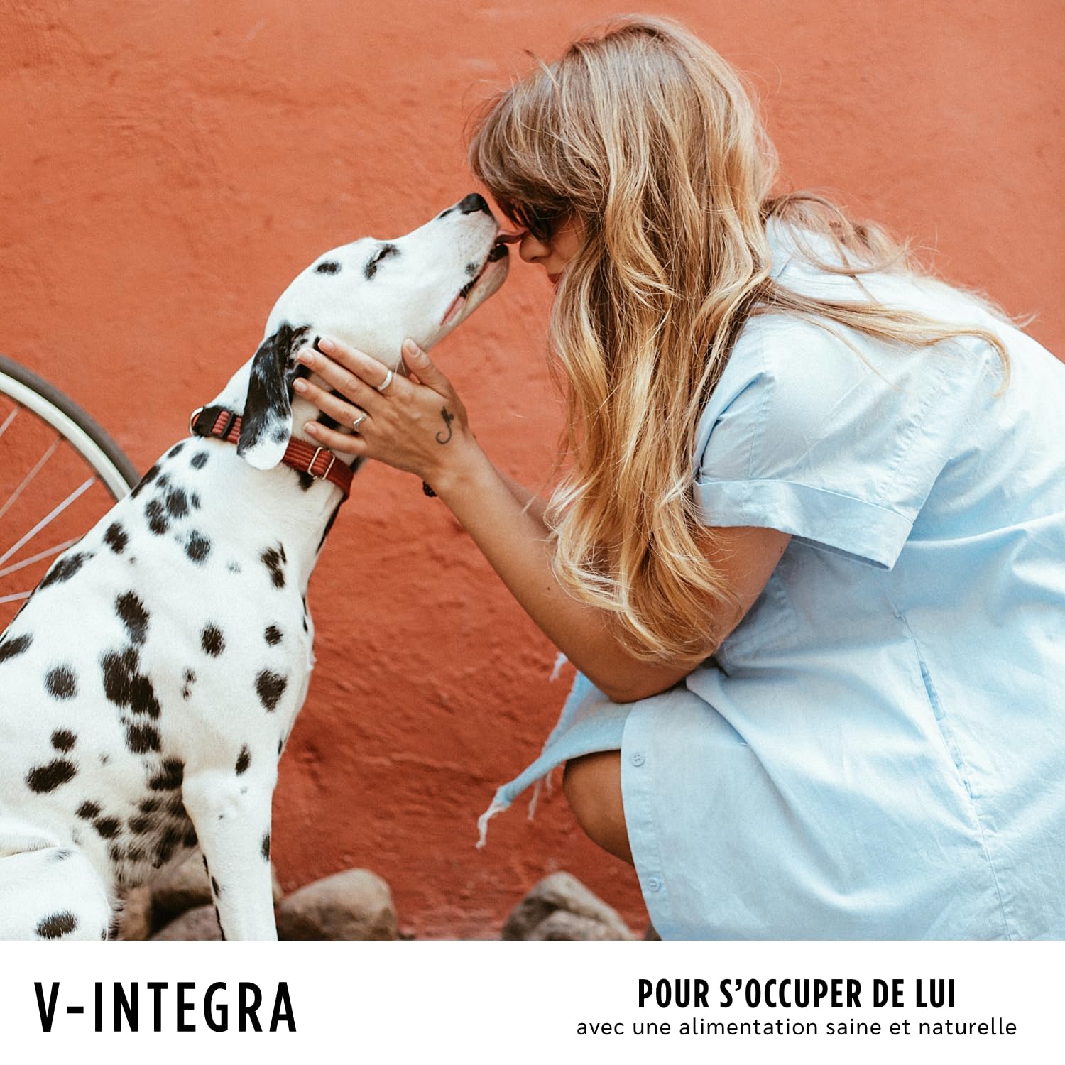 V-INTEGRA Chien Adulte - Supplément Complet Riche en vitamines et minéraux pour la Ration ménagère et Barf des Chiens Adultes - 200 g - Produit en Italie