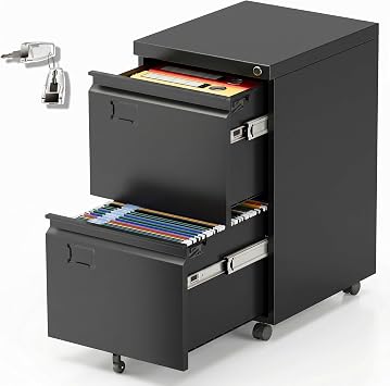 METAN 2 Drawer Mobile File Cabinet with Lock and Wheels, Black | Steel under-desk cabinet for Letter, Legal and A4 files; 5 casters, 2 label slots, 220 lb total load; assembly required