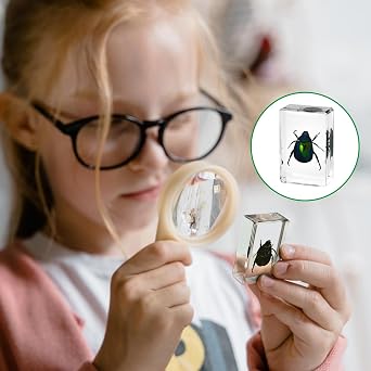 Insect in Resin Specimen,Bugs Collection Paperweights Arachnid Resin Specimen Different Insect Specimen Bug Preserved in Resin for Kids Scientific Educational Toy(6 Styles)