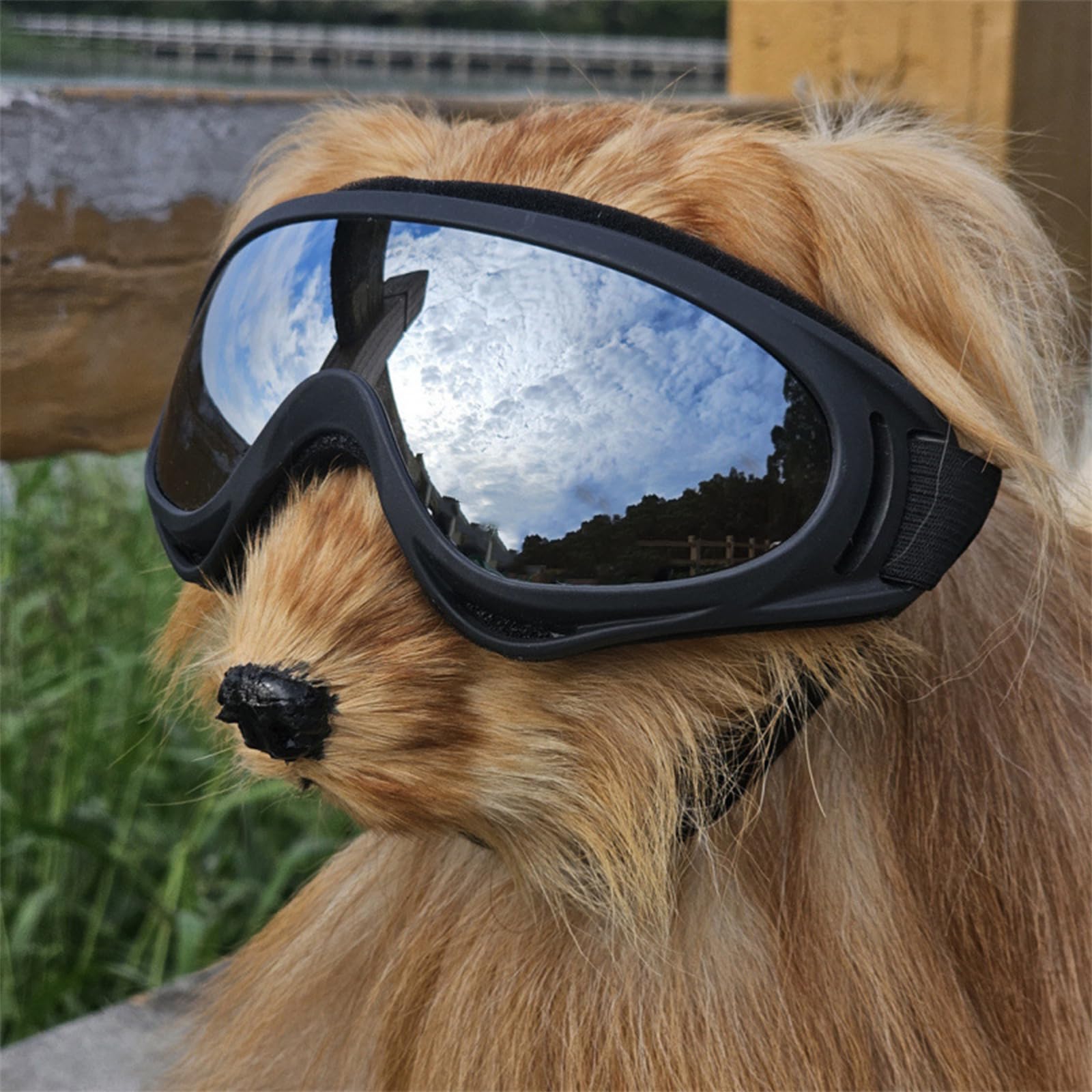 2Pezzi Occhiali per Cani, Occhiali Cane, Protezione UV Occhiali da Sole Cane, Antivento Occhiali da Sole per Cani di Taglia Media o Grande Attività all'Aperto, Guida, Arrampicata(Nero,Argento)