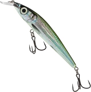 Salmo Rattlin Sting Wobbler, 9 cm/11 g