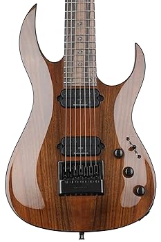 Amazon.com: B.C. Rich Shredzilla Prophecy 7 Archtop 7-string