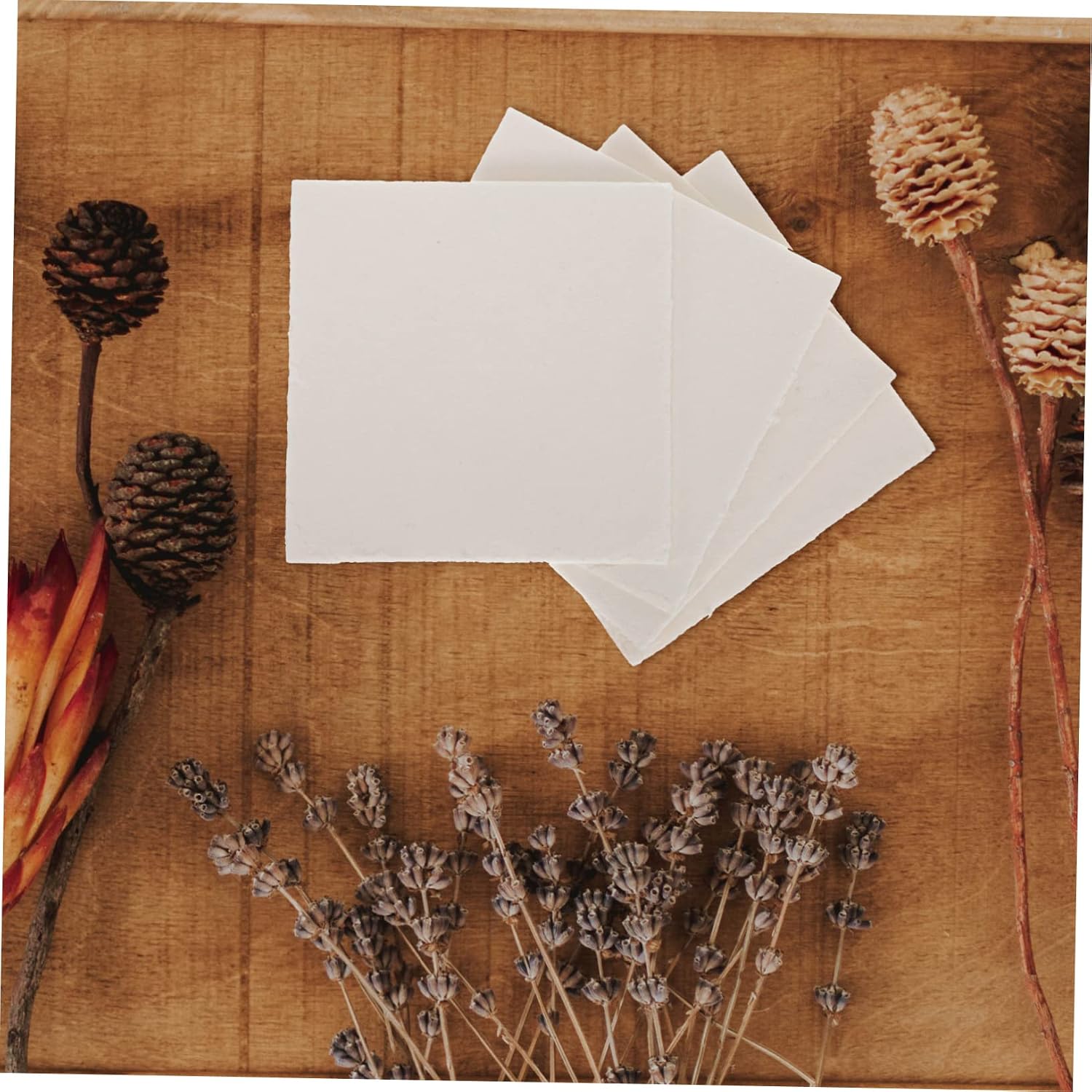CORHAD 4pcs Reusable Plant Press Boards Water Absorbing Flower Pressing Kit for Easy Specimen Making for Dried Flower Crafting and Outdoor Activities