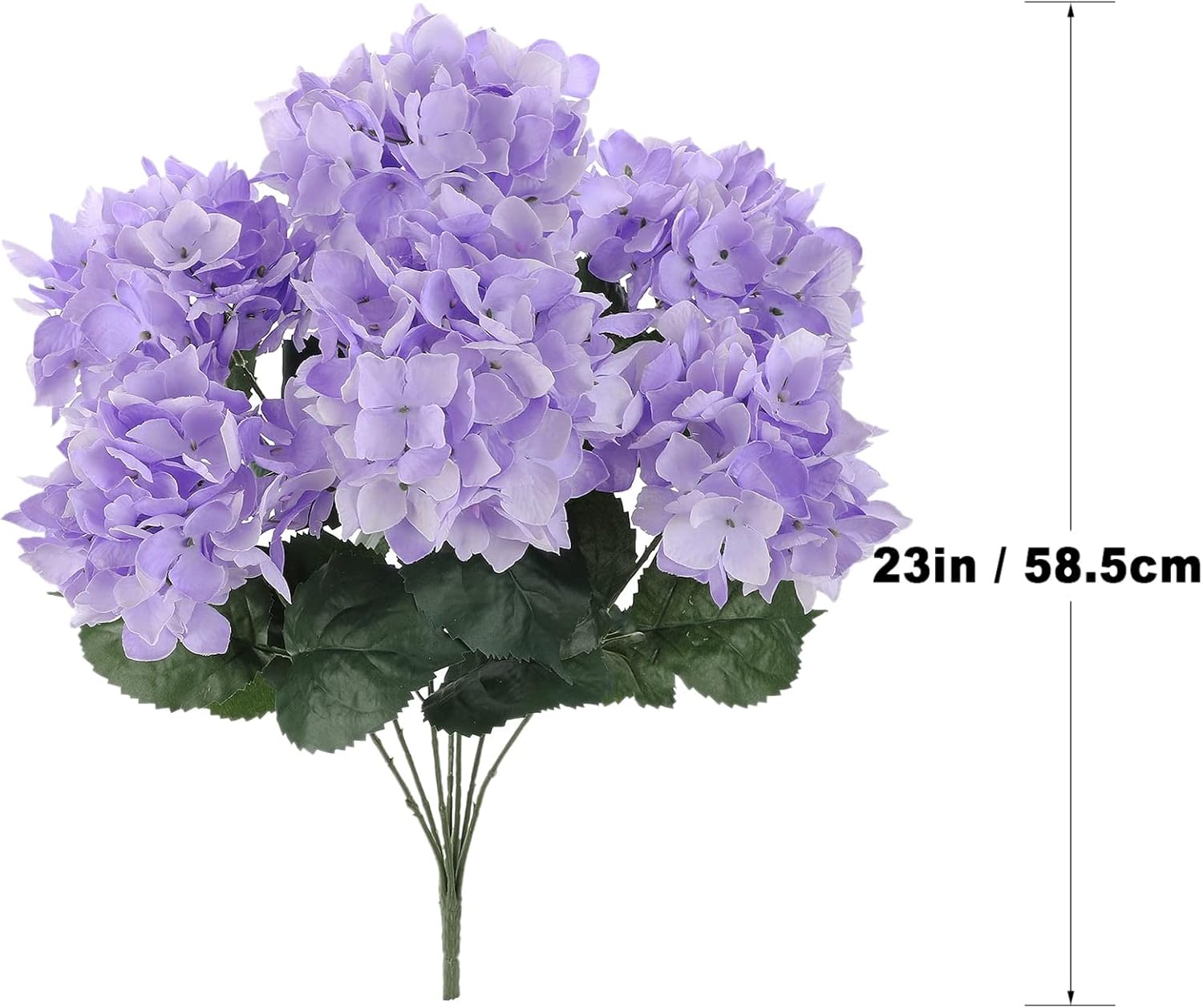 Ashland Purple Hydrangea Bush, 12 Pack