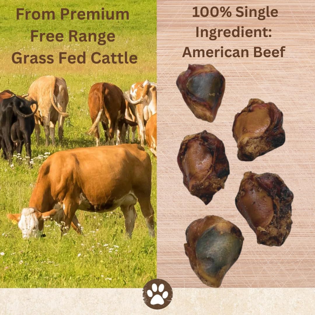 Top Dog Chews – Knee Caps, 20 Count, Dog Beef Chew Bones, Long Lasting Treats for Aggressive Chewers, Perfect for Large Medium, or Small Dogs, Made in USA