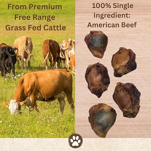 Top Dog Chews Rodilleras, 20 unidades, huesos masticables de carne de perro, golosinas de larga duración para masticadores agresivos, perfectas para