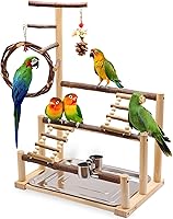 Kaliswell Natural Wood Bird Playground Stand for Cockatiels, Budgies, Parrots - Swing, Chew Toys, Feeding Cup, Ladder