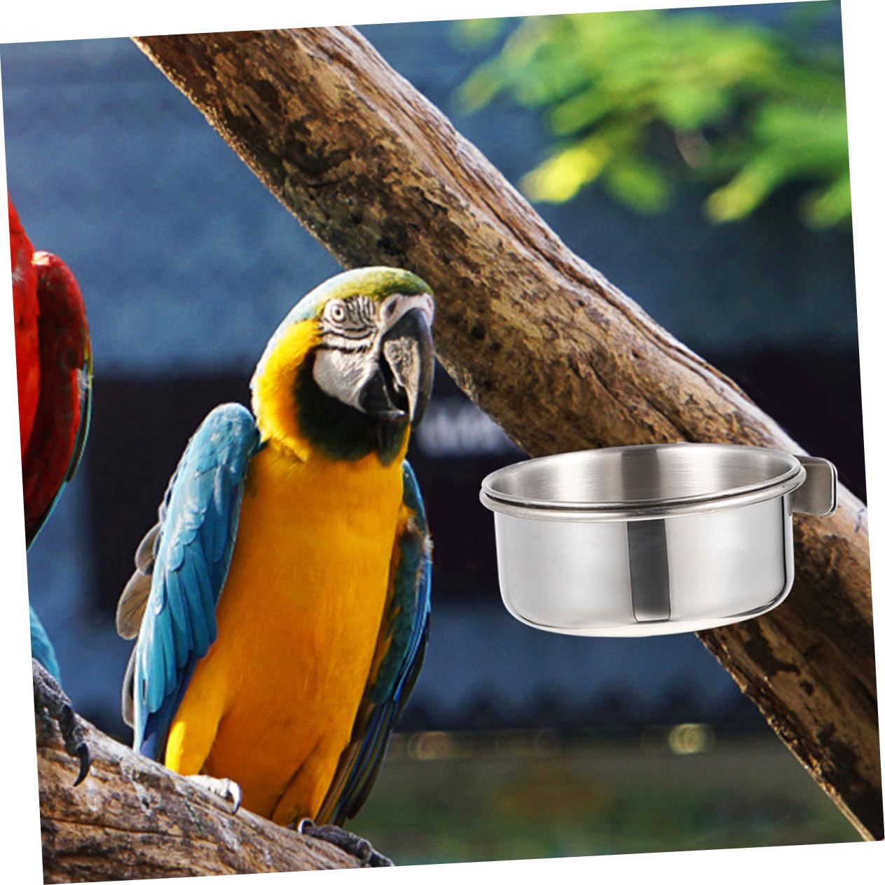 Set 4Pezzi Accessori per Pappagalli in Metallo Inossidabile Argento, Mangiatoie per Pappagalli Design Anti-Chew e Resistenti alla Ruggine per Gabbie