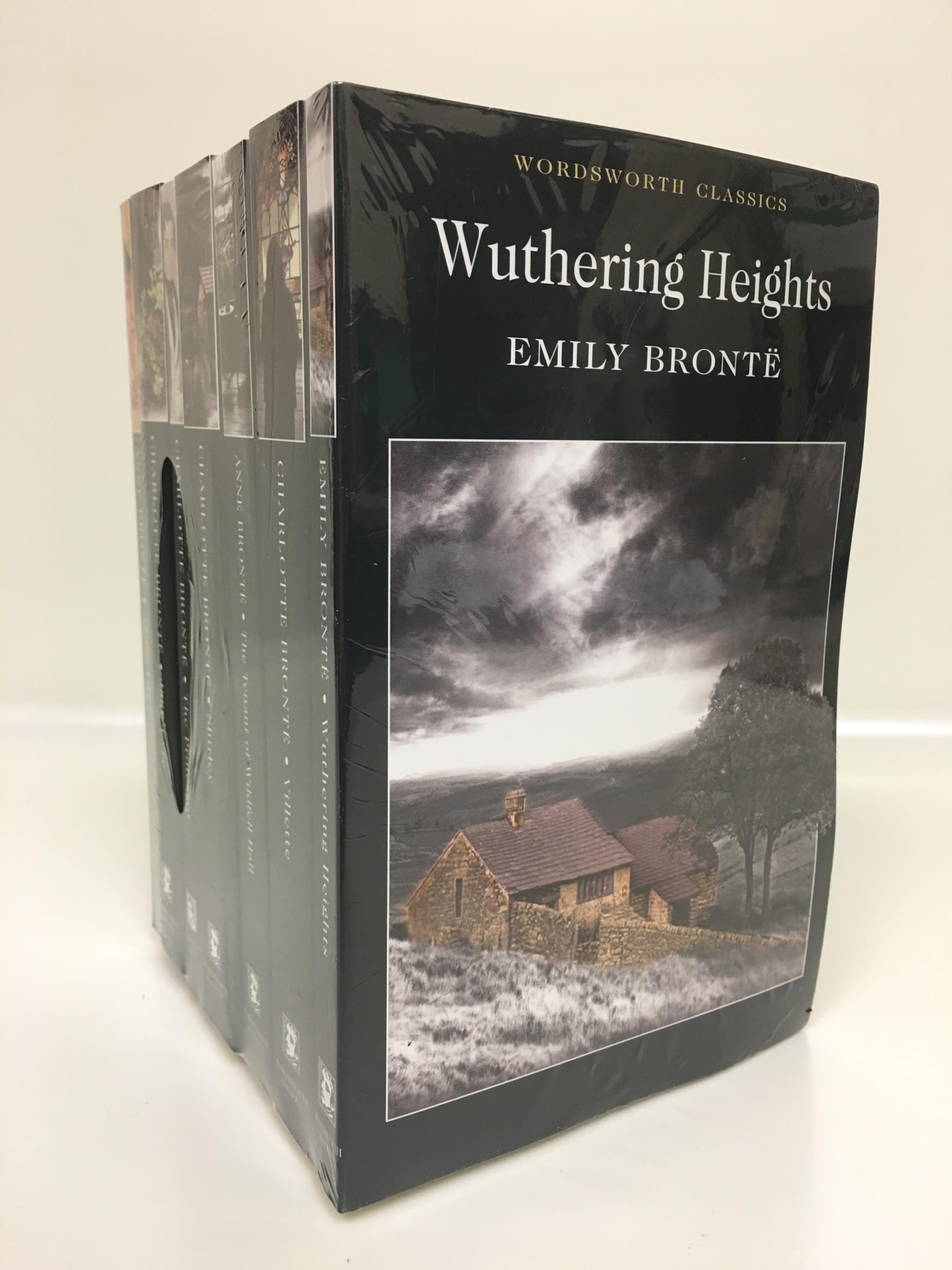 The Best of the Brontë Sisters (Wordsworth Author Collections)