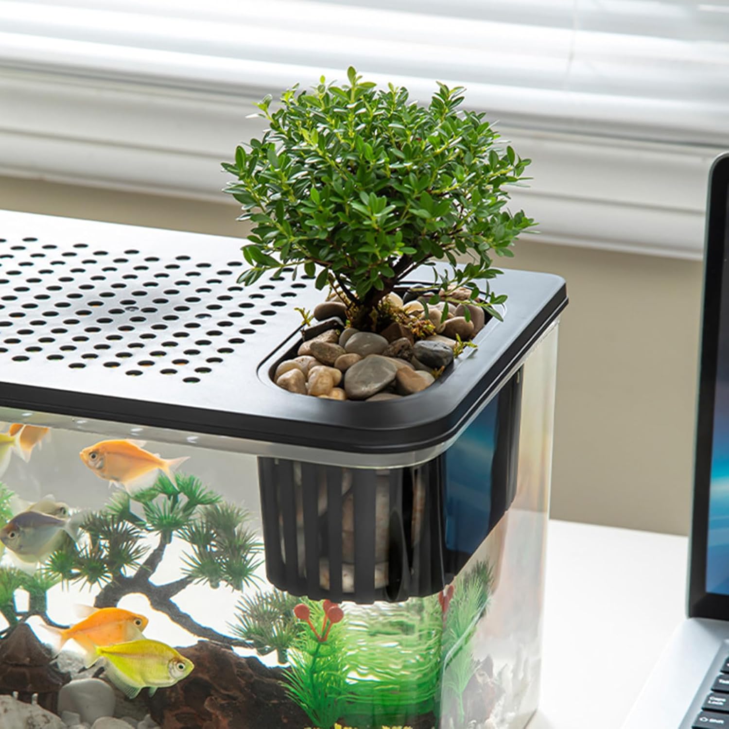 Modern Leakproof Aquarium with Child-Safe Lid & Plant Holder Home Office Desktop Fish Habitat Fishtanks with Lid