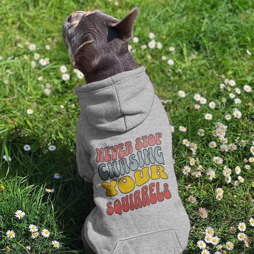 Never Stop Chasing Dog Hoodie with Pocket - Dog Gifts - Items for Pets - Gray, XL