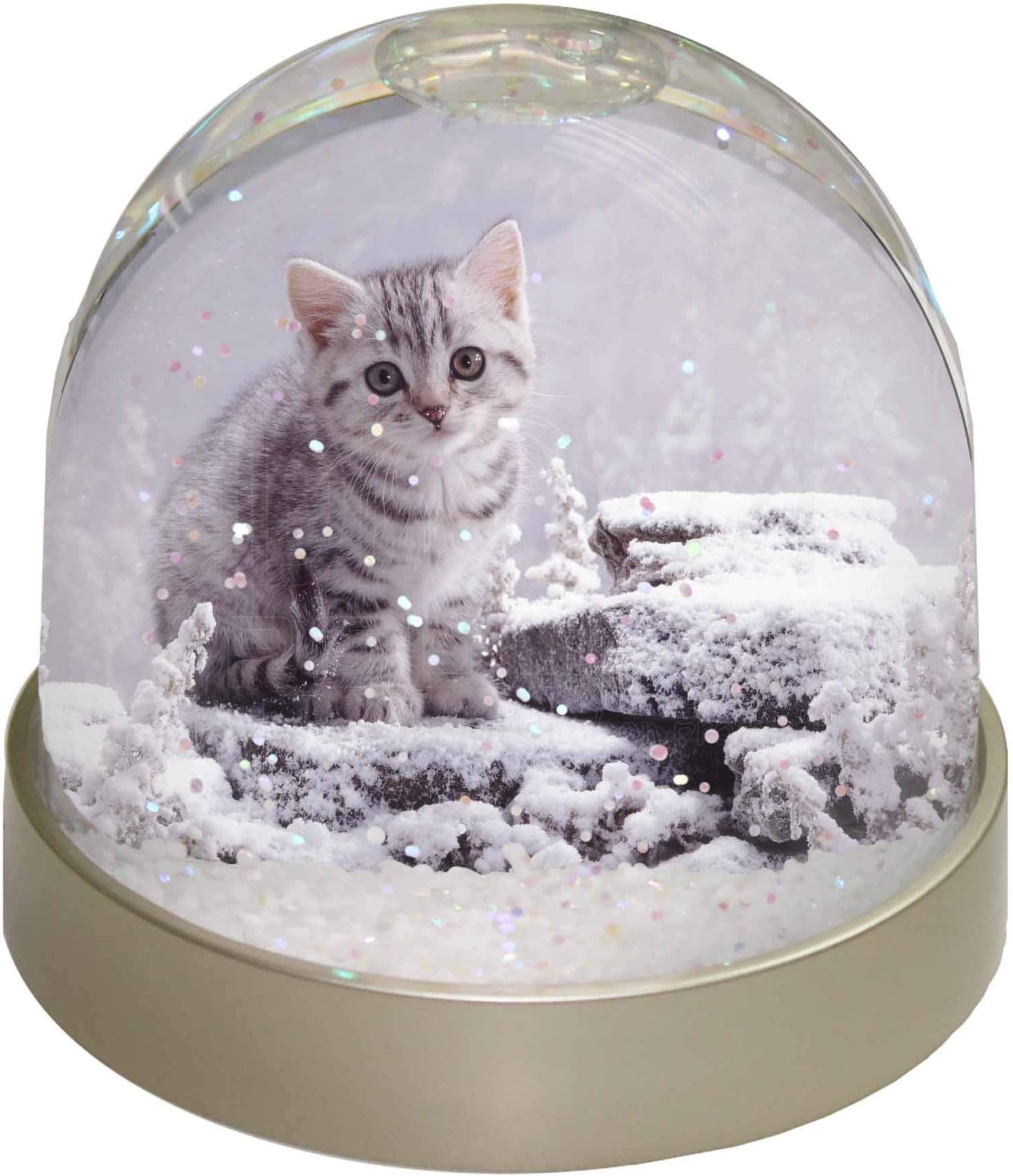 Silver Tabby Cat in Snow Photo Snow Globe Waterball - Advanta Group®