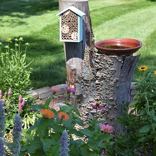 Miniatura 6 de Nature's Way Bird Products PWH1-C Casa de abejas verde azulado
