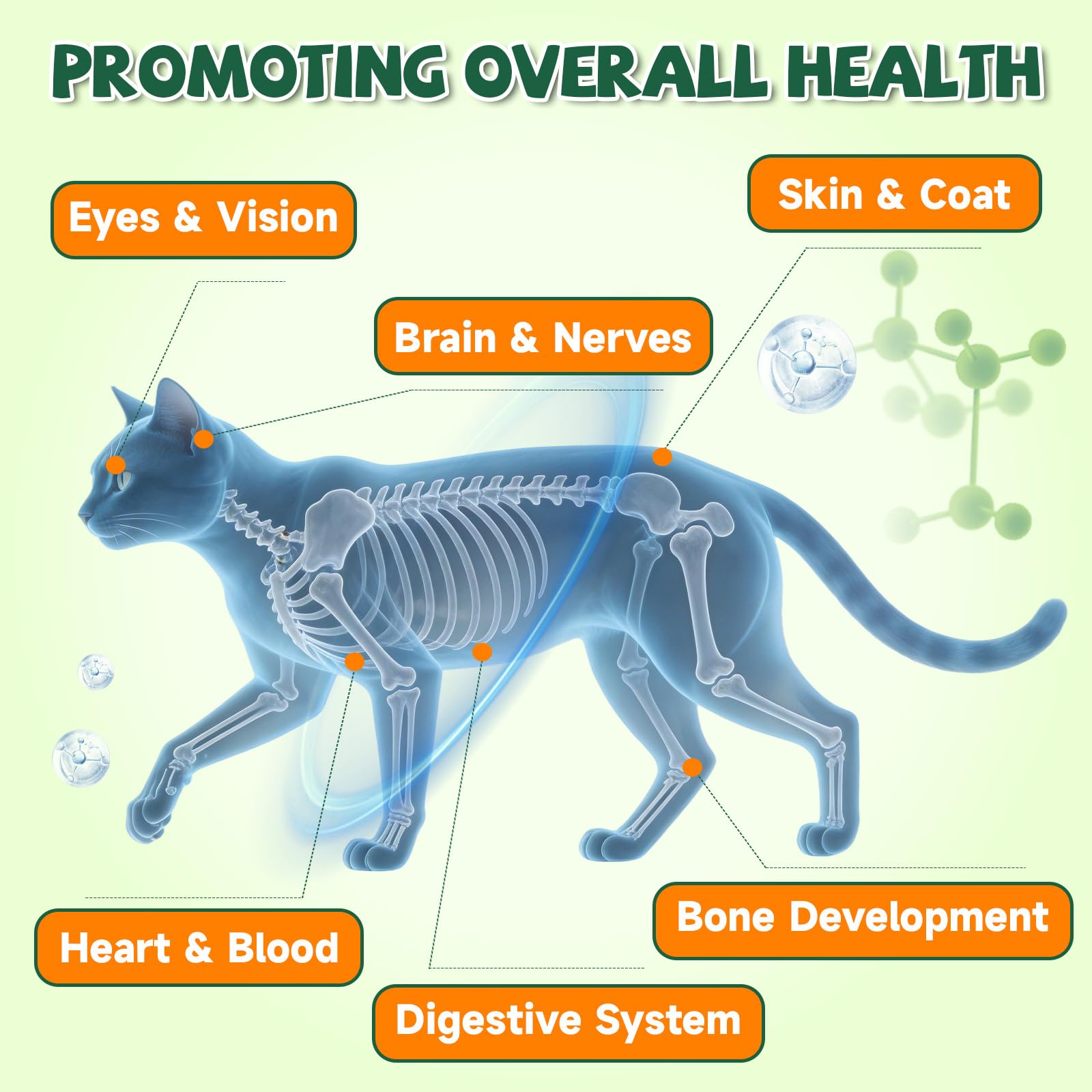Taurina para Gatos Vitaminas - 500 Golosinas, 19 en 1 CardíAca & Visión Felina, Energía & Vitalidad, Inmune, Multivitamínico para Gatos Taurina, Minerales, Premios Vitaminados para Gato