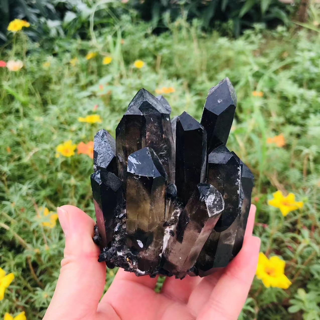 Natural Black Smoky Quartz Cluster Raw Unique Crystal Cluster Healing Stone for Decoration 1pc (560g-750g)