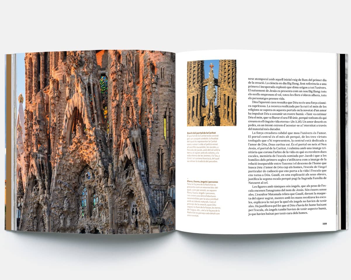The Sagrada Familia: The Cathedral of light