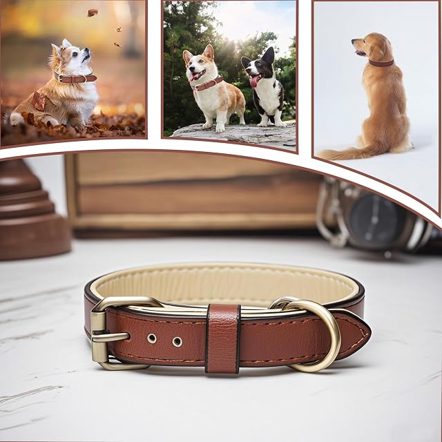 Foto 4 de 6 de Ajustable Collar de Perro de Cuero Suave Genuino de Acolchado Mejor para Perros de Razas pequeñas Medianas…