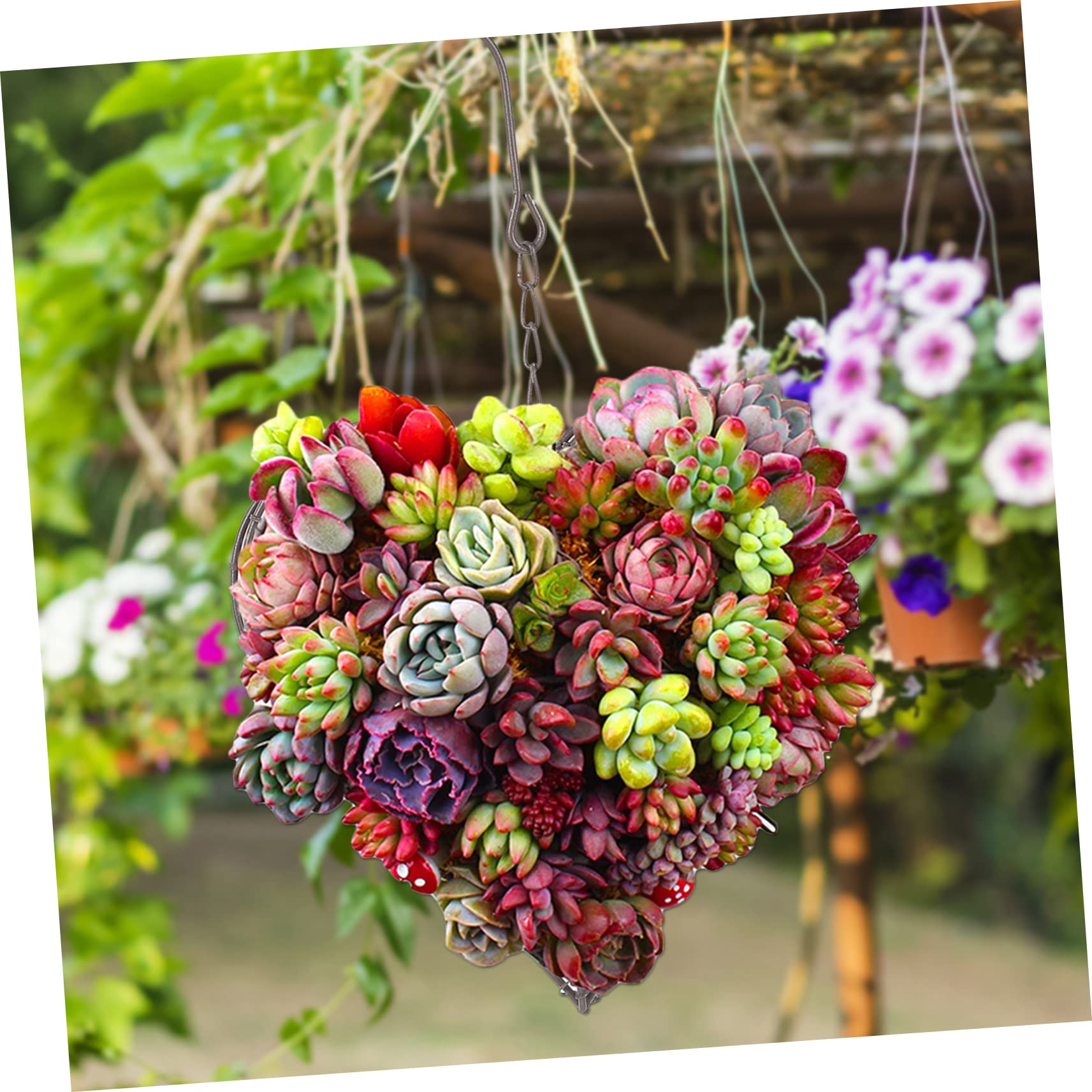 多肉 ハート型プランター