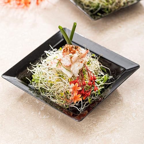 Miniatura 3 de Restaurantware Platos de fiesta de 4.25 pulgadas, 100 platos cuadrados desechables, resistentes a las grietas, reciclables, platos pequeños de