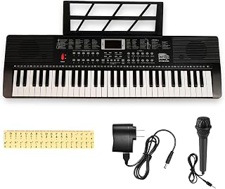INTERN INT-6101 61 Keys Keyboard Piano for Adult Music Keyboard Synthesizer keyboard with 255 Rhythms, 255 Tones, 24 Demo Songs.