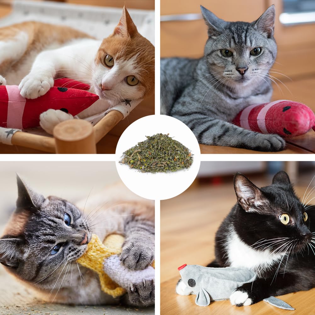 OSDUE Herbe à Chat, 100g Herbe à Chat Naturelle de Qualité Supérieure, Herbe Aux Chats Rend Votre Heureux, Stimulante et Digestive, a Utiliser Encas pour Le Chaton, Convient à Tous