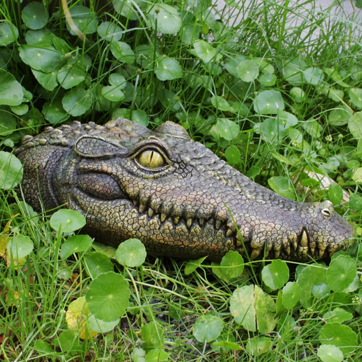Floating Alligator Head Garden Statue, 13.8 Inches Fake Gator Head Decoy, Resin Crocodile Head Sculpture Outdoor Decor for Pond, Swimming Pool, Patio, Lawn, Yard Ornaments