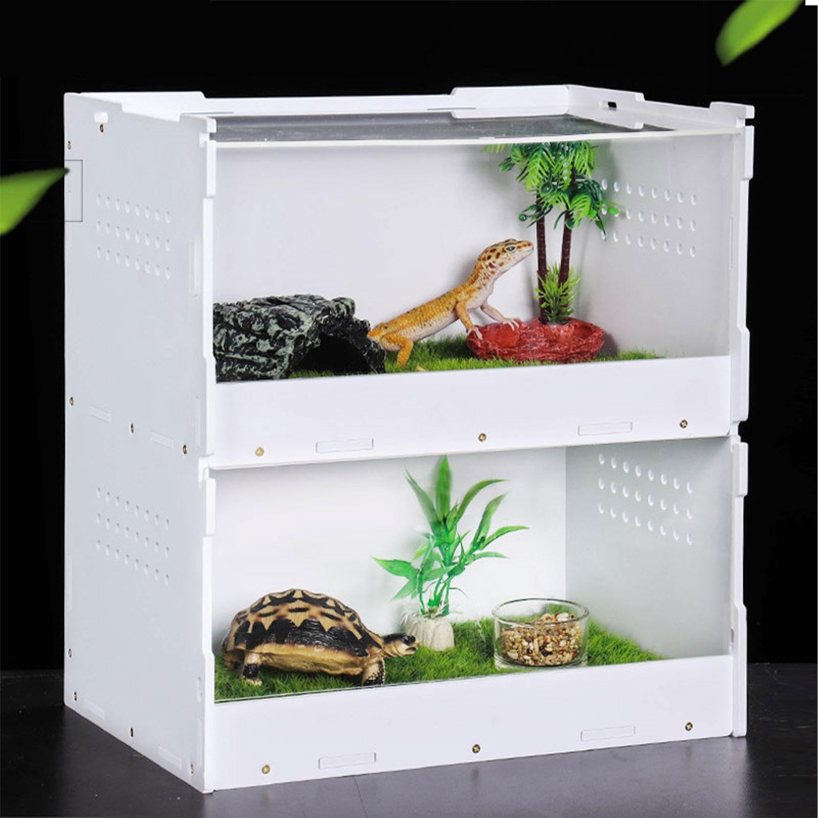 Caja de Alimentación para Reptiles, Terrario para Reptiles, Kit de Inicio para Arañas Y Geckos, L