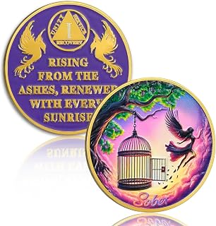 Break Out of Cage 1 Year Sobriety Coin | AA Recovery Medallion with Token Capsule, Inspirational Addiction Sober Gift for Women & Sponsors