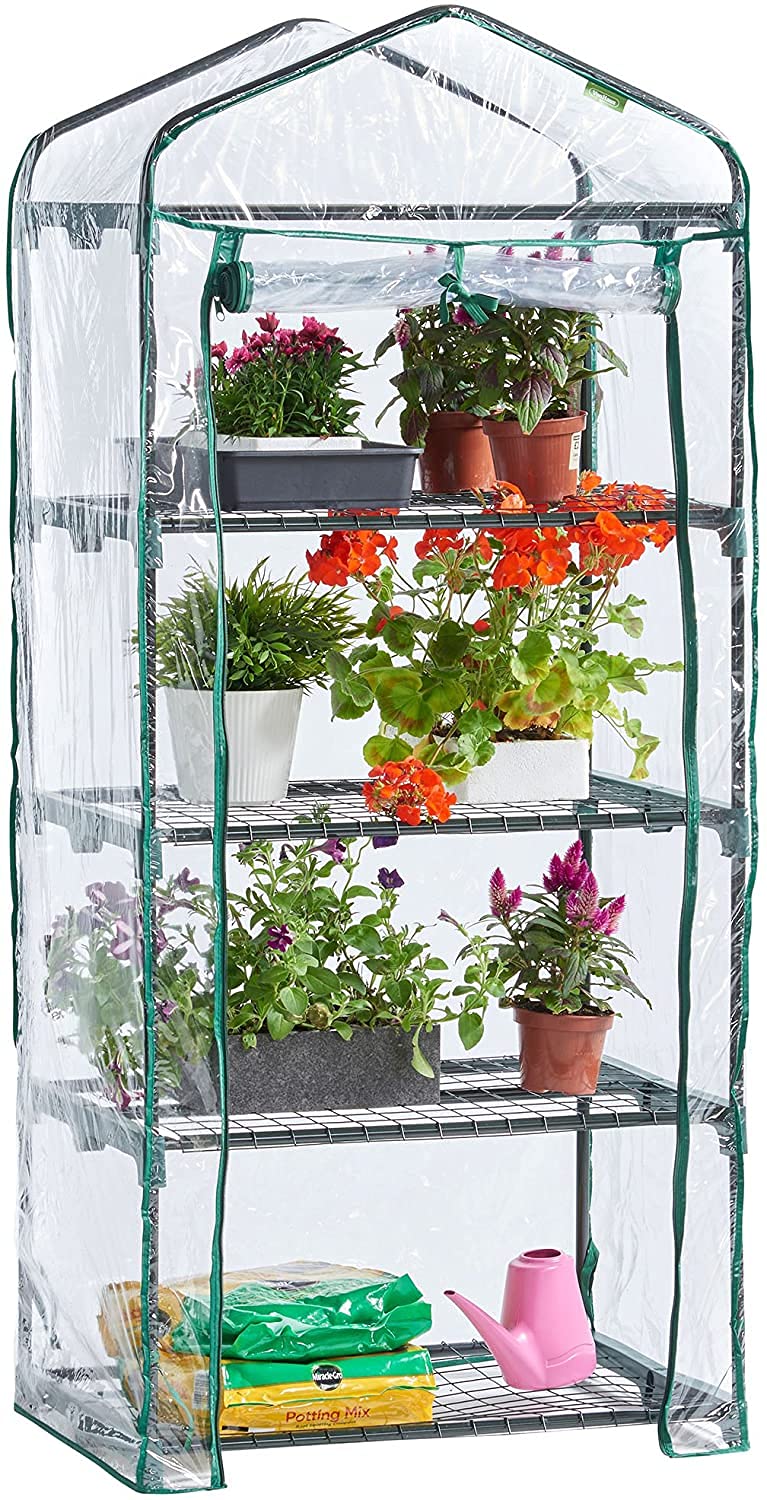 Mumoo Bear Premium 4 Tier Greenhouse Clear