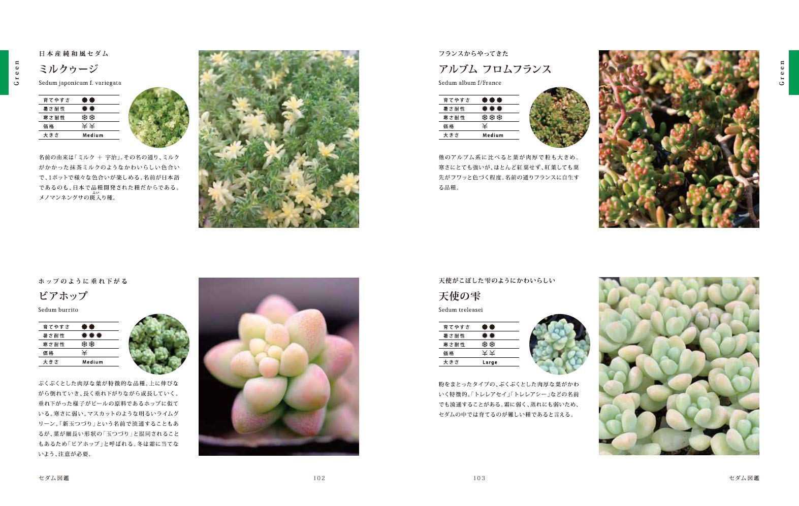 美しいセダムの寄せ植え Mai 本 通販 Amazon